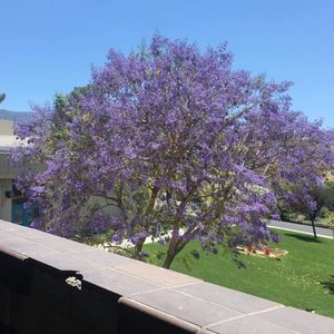 Meet your Posher, Kalen